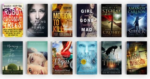 5 Tips for Finding a High-Quality Book Cover Designer - Draft2Digital ...